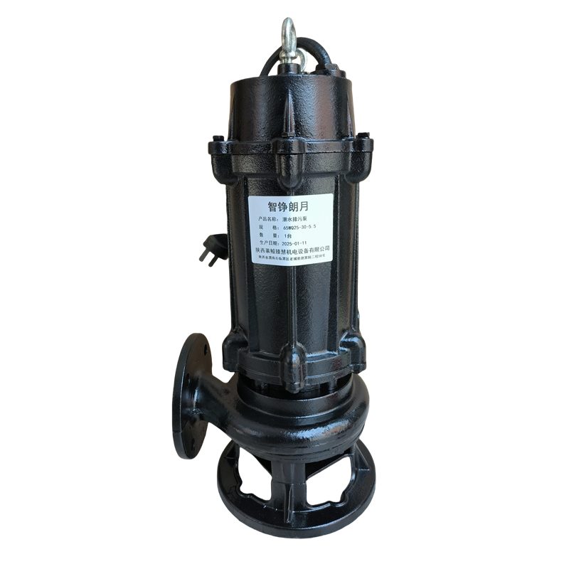 智铮朗月 潜水排污泵 65WQ25-30-5.5 台高清大图