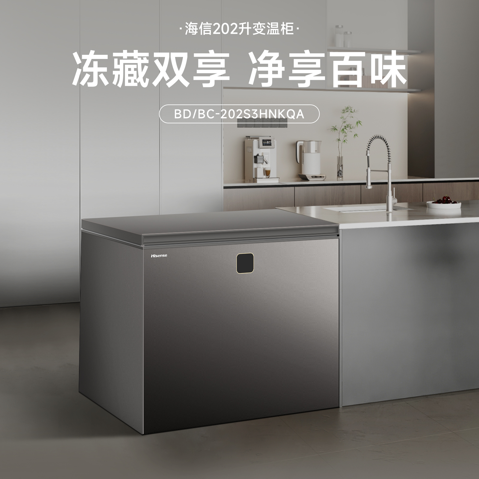 海信冷柜BD/BC-202S3HNGQX高清大图