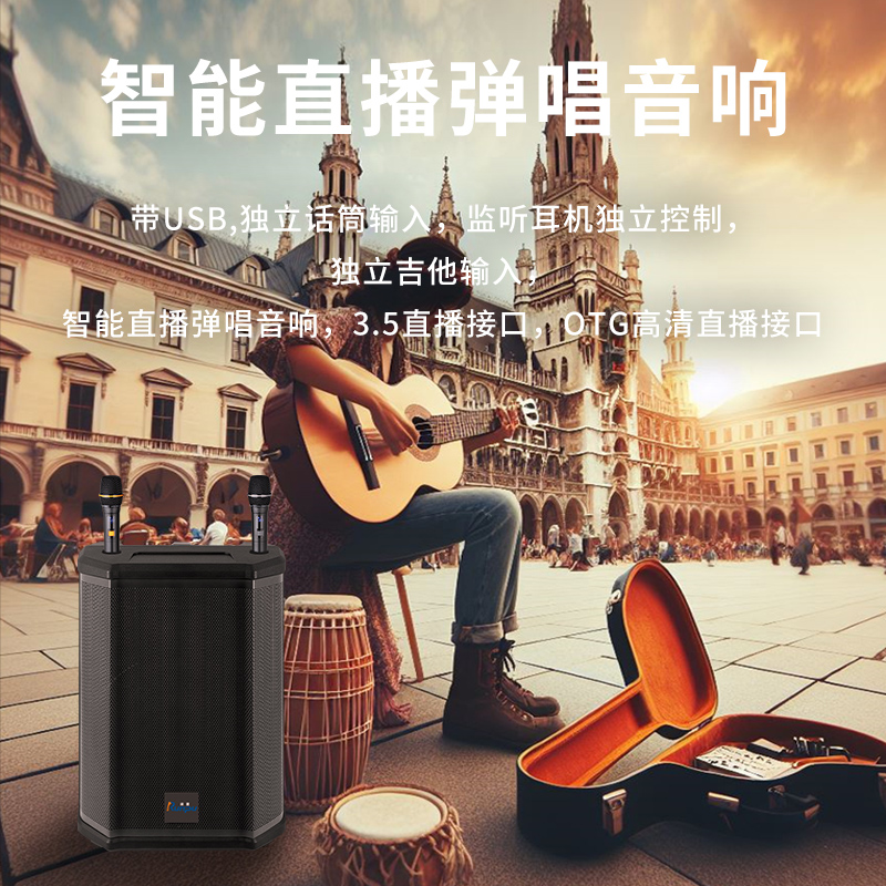 润普Runpu会议音频扩声拉杆音箱二分频8英寸低音卡拉OK户外演出活动野外作训带话筒拉杆音箱RP-S-LG高清大图