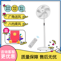 美的(Midea) 电风扇 FS40-18BR 家用落地扇客厅台地扇 轻触式按键方式遥控版控制方式摇头送风方式