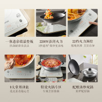 苏泊尔电磁炉电磁灶家用/商用2200W大功率大面板大线圈防辐降噪预约定时 C22-IA09[特设火锅专区配双锅]
