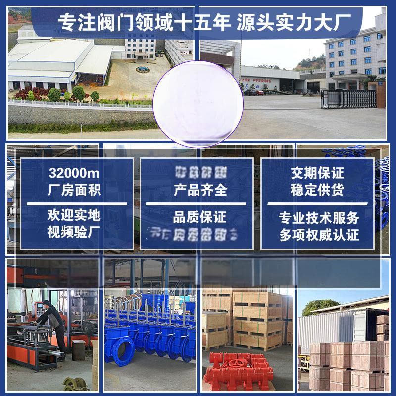 俊伟达铸铁软密封闸阀 弹性座封闸阀 暗杆阀门开关闸阀 法兰软密封闸阀DN80阀门图片
