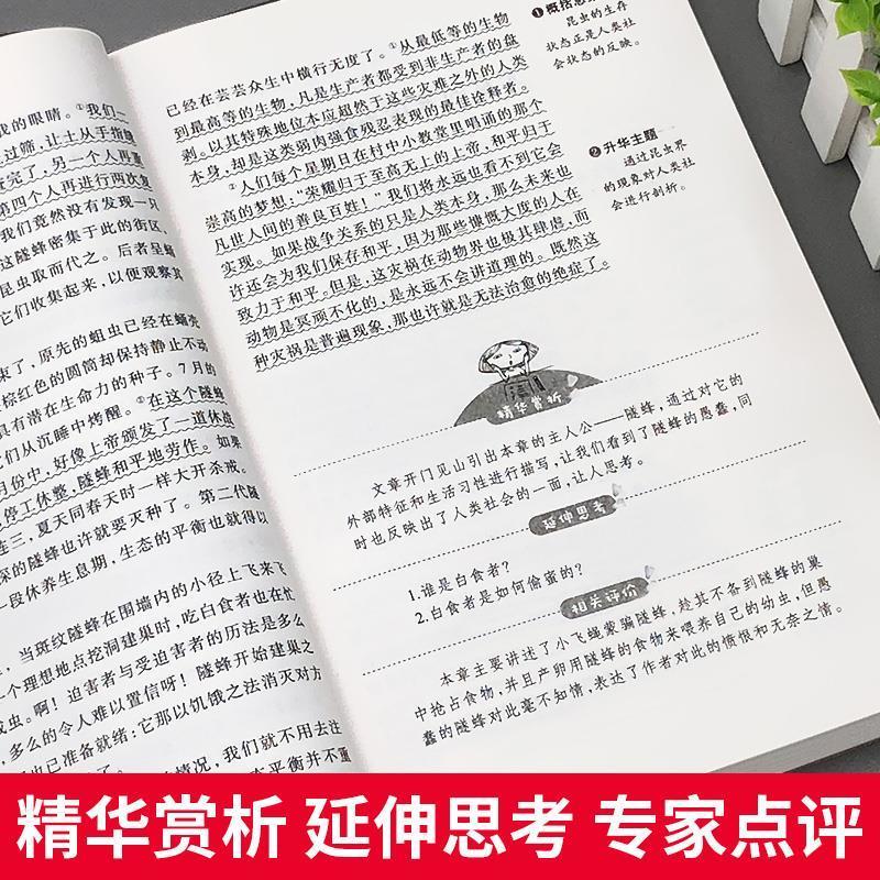钢铁是怎样炼成的 爱的教育昆虫记钢铁是怎样炼成的老人与海假如给我三天光明爱阅读