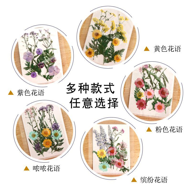 干花diy押花贴脸写真押花书签压花包压花画材料真花滴胶干树叶图片 高清实拍大图 苏宁易购