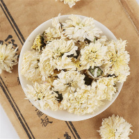 菊花茶黄山白菊花七月菊高山菊花茶花草茶