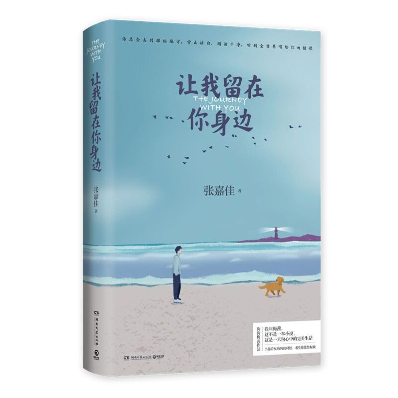 [正版]附+护照册+笔记本张嘉佳作品三册 张嘉佳的书 从你的全世界路过+让我留在你身边+云边有个小卖部 青春文学小说