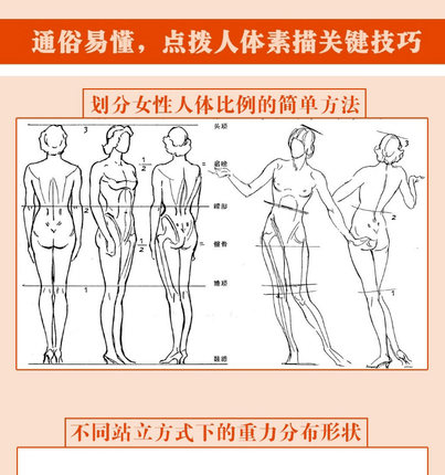 [醉染正版]人体素描 安德鲁路米斯经典美术课 西方经典美术技法译丛 伯里曼高徒人体结构绘画教学 正版人体静物写生速写临摹高清大图
