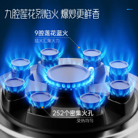 创维(Skyworth)燃气灶双灶 家用5.0kW猛火九孔聚能定时灶爆炒鸳鸯灶具 台式嵌入式灶台 Z211B液化气