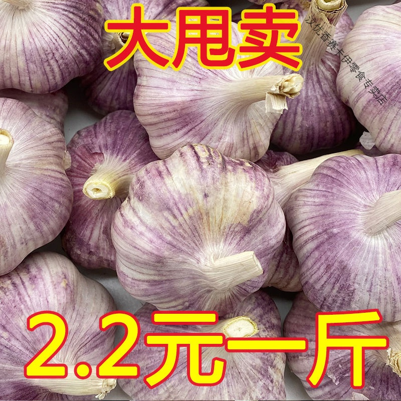 今年干大蒜5斤大蒜头干蒜农家紫白皮新鲜1/2/3/斤批发价