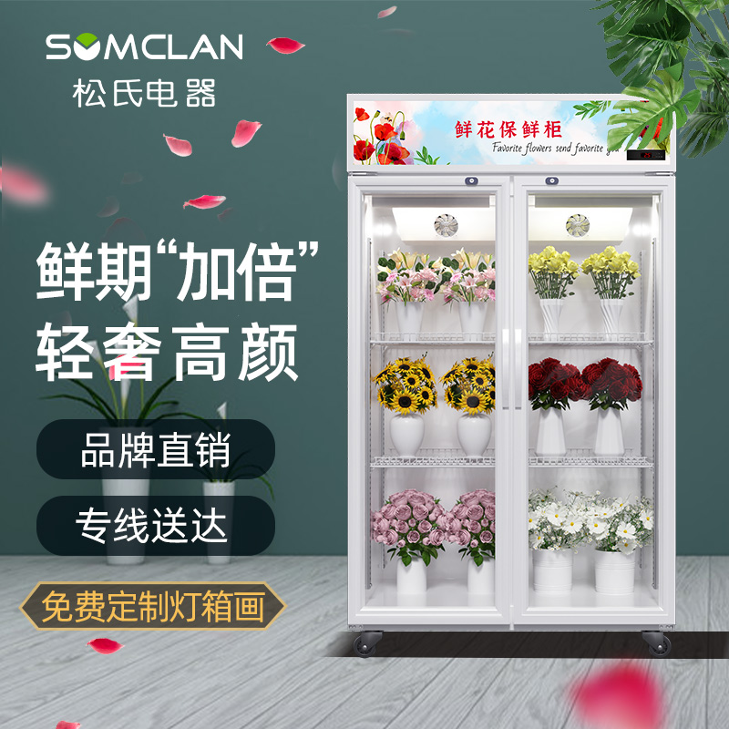 9797排行榜:带锁冷藏展示柜前十名9797