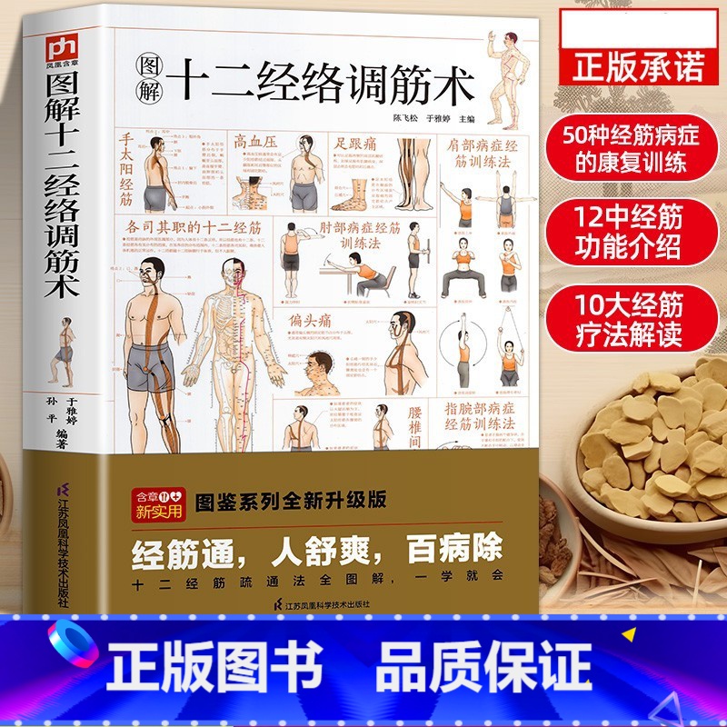[官方正版]十二经络调筋术 [正版]图解十二经络调筋术十二经筋疏通法全图解一学就会50种经筋病症的康复训练12种经筋功用高清大图