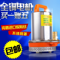 电瓶车抗旱浇灌农用家用洗车抽水机直流水泵12V24V48V船用潜水泵 24V220W7米电缆不锈钢叶轮