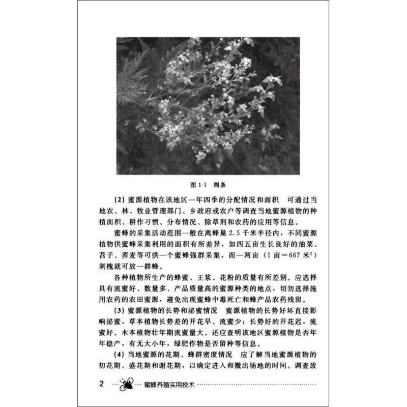 蜜蜂养殖实用技术 蜜蜂养殖技术大全书养蜂技术书籍 科学饲 图说蜜蜂养殖关键技术