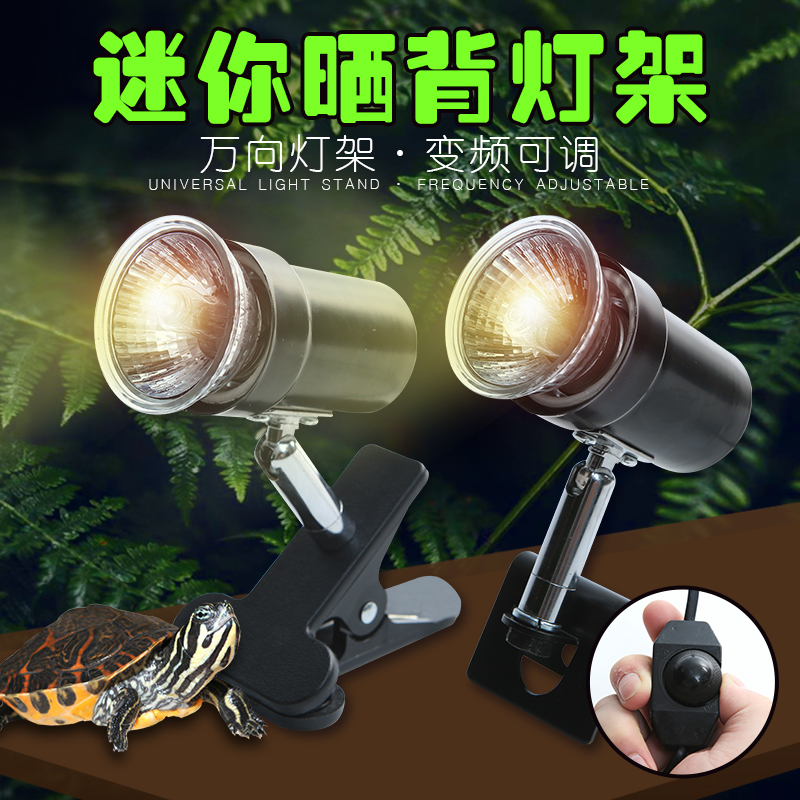 小乌龟晒背灯补钙三合一加热取暖全光谱太阳灯泡爬宠龟用背照灯架高清大图