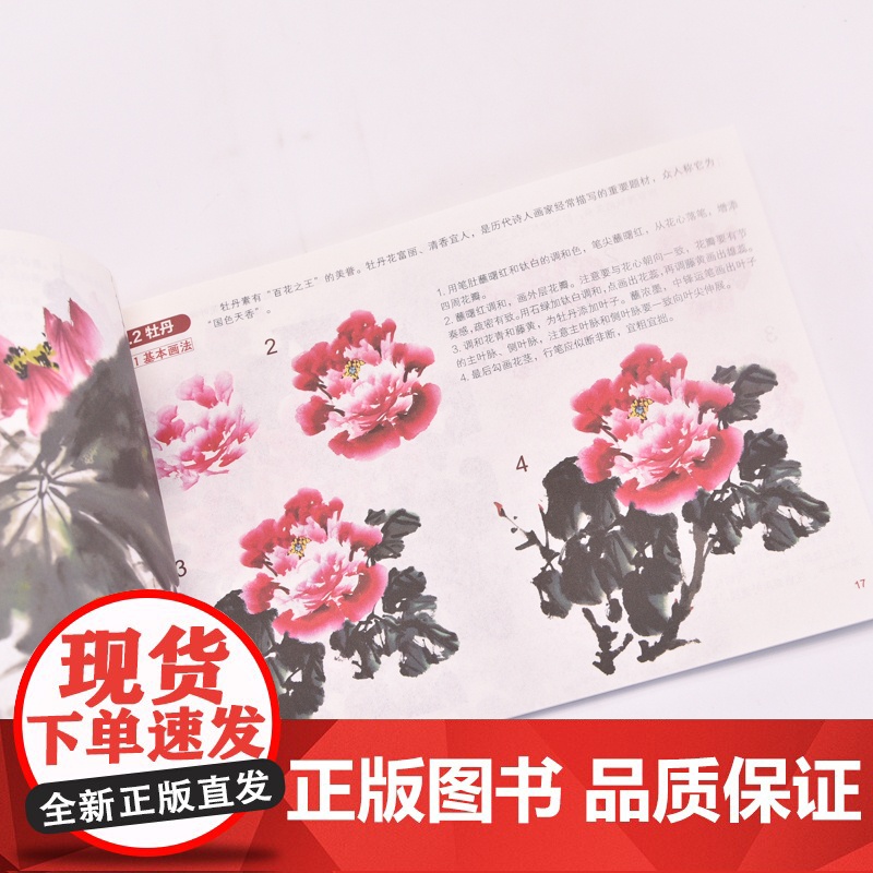 写意入门教程 大字大图版 正统国画技法入门中老年写意画自学中国画花鸟山水技法基础教程书籍水墨国画绘制技法高清大图