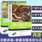 [醉染正版]全2册黄鳝泥鳅高效生态养殖新技术泥鳅养殖致富疾病鉴别诊断及治疗全书黄鳝水产高效健康养殖兽医实用手册繁殖饲养防