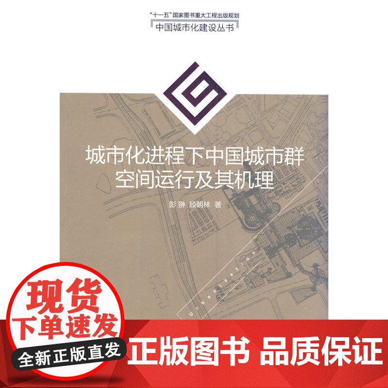 城市化进程下中国城市群空间运行及其机理高清大图