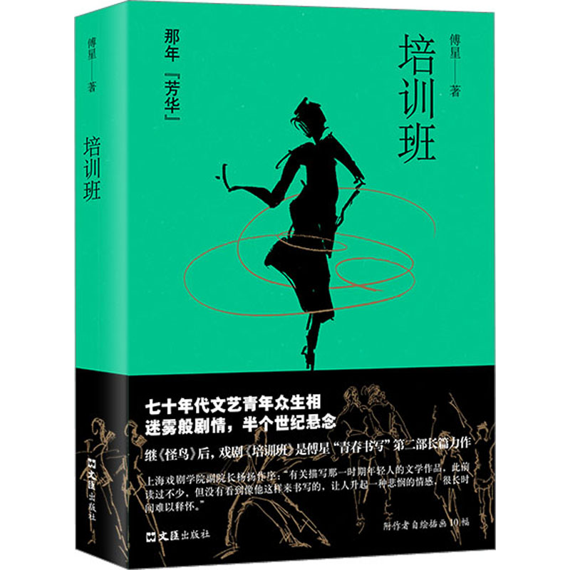 正版新书]培训班傅星9787549639649高清大图