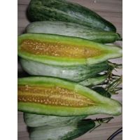 果之缘 羊角蜜 甜瓜 2.25kg净重约4.5斤新鲜水果 生鲜 山东特产 产地直供 孕妇 儿童 老人 鲜呗呗箱装