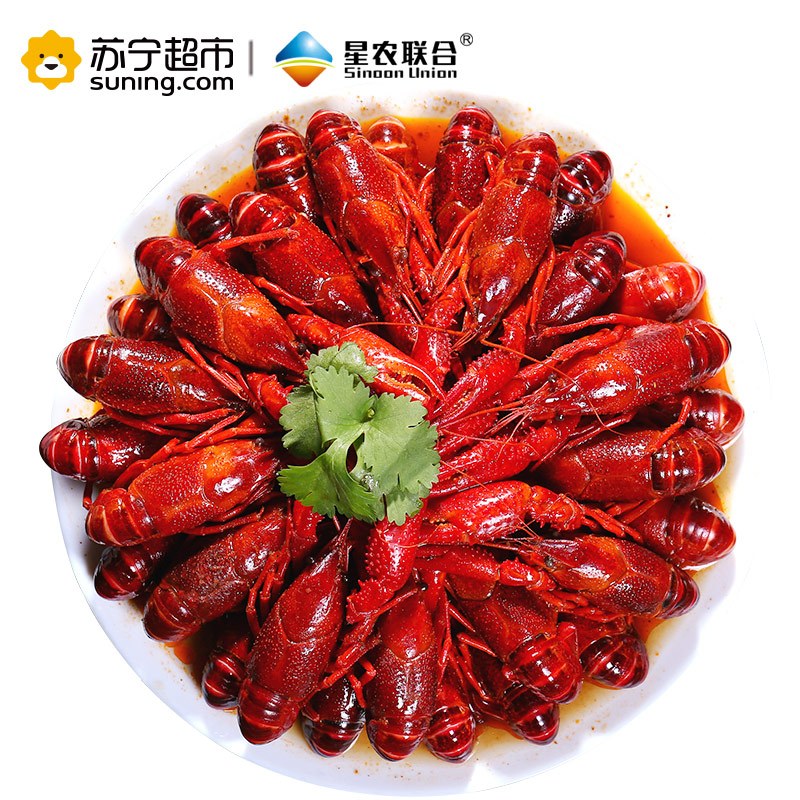 红小厨小龙虾十三香4-6钱 34-50只1.8kg