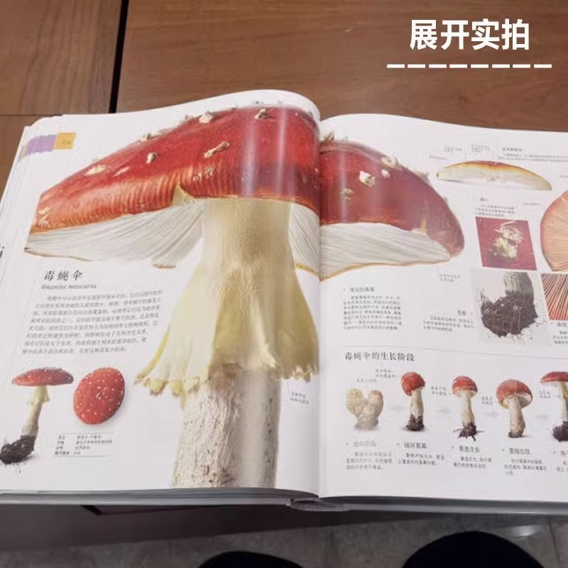 [DK系列]儿童百科全5册 [正版]DK博物大百科全书中文 dk儿童动物恐龙植物生物我们的身体6-7-10岁精装绘本一年
