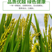 金龙鱼 东北大米 f