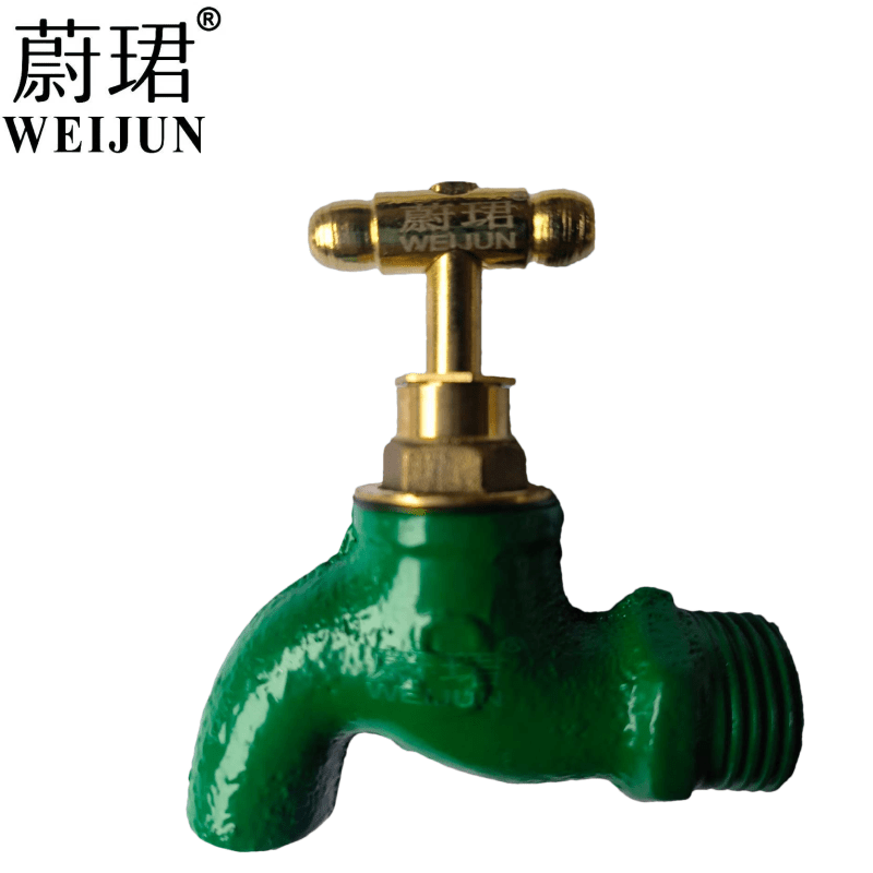 蔚珺慢开冷水嘴6分个高清大图