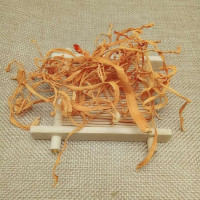 正品金虫草花 干货500克特级 北虫草孢子头蛹虫草非同仁堂