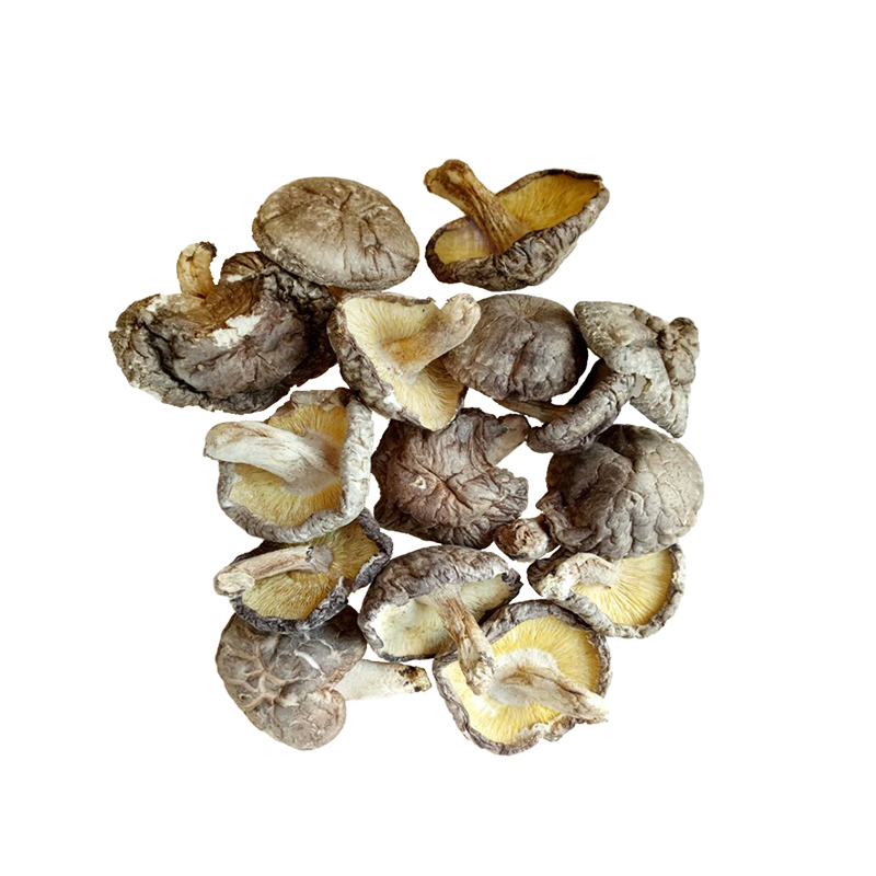 [中华特色]梅州助农馆 银新 客家特产煲汤料 香菇 原木香菇 300克/袋 华南