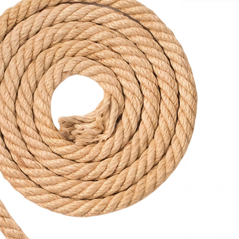 铁洋 麻绳 直径60mm 米高清大图