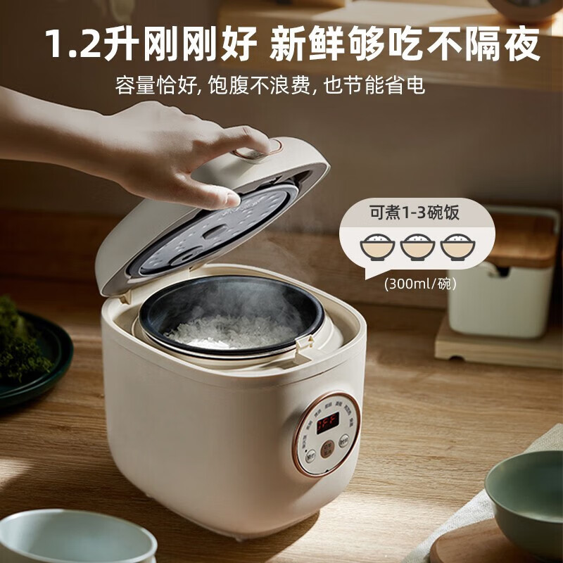 小熊(Bear)电饭煲 电饭锅 家用迷你电饭锅 智能预约定时煲汤蛋糕多功能 1.2L迷你 DFB-C12L9
