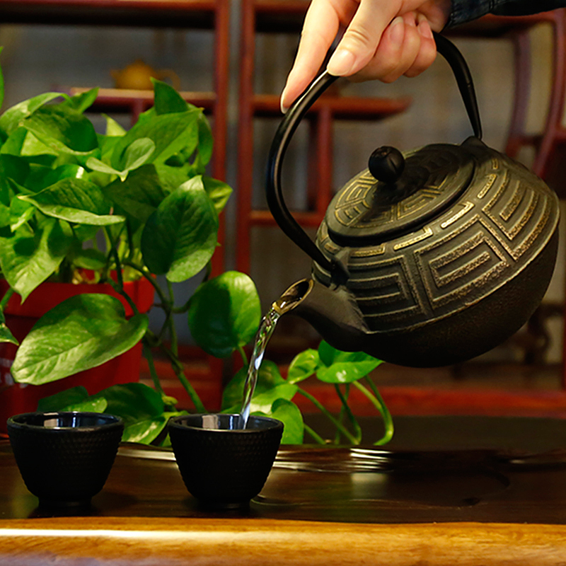 常生源 茶壶功夫茶具铸铁耐高温烧水铁壶无涂层煮茶壶电磁炉手冲泡茶壶铸回纹铁壶