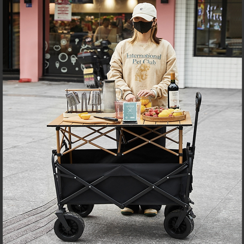 摆摊地摊小推车闪电客拉货专用取快递可折叠手推车营地野餐车户外露营