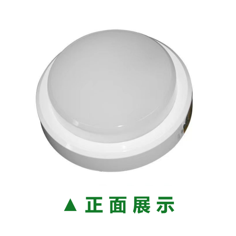 非赫电 吸顶灯FHGX240-30高清大图