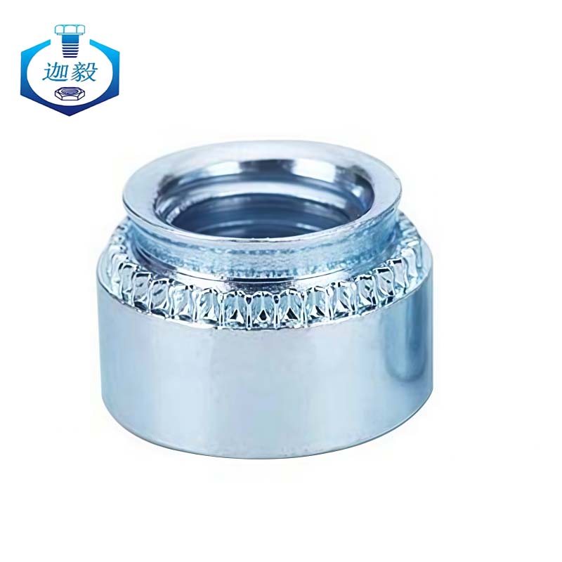 迦毅压铆螺母M10-3个