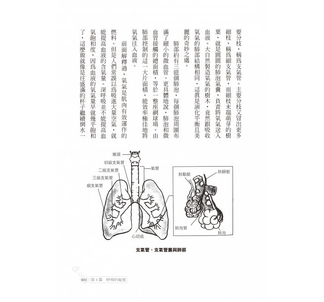 [正版] 改变人生的强呼吸法!连气喘都能改善 还能顺带瘦身! 如何 原版进口书 医疗保健高清大图