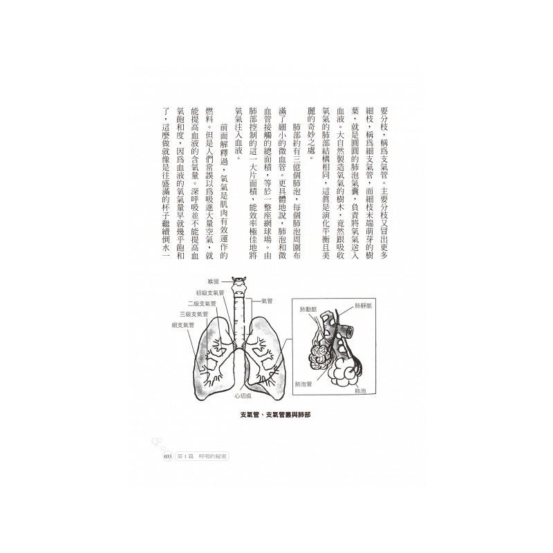 [正版] 改变人生的强呼吸法!连气喘都能改善 还能顺带瘦身! 如何 原版进口书 医疗保健