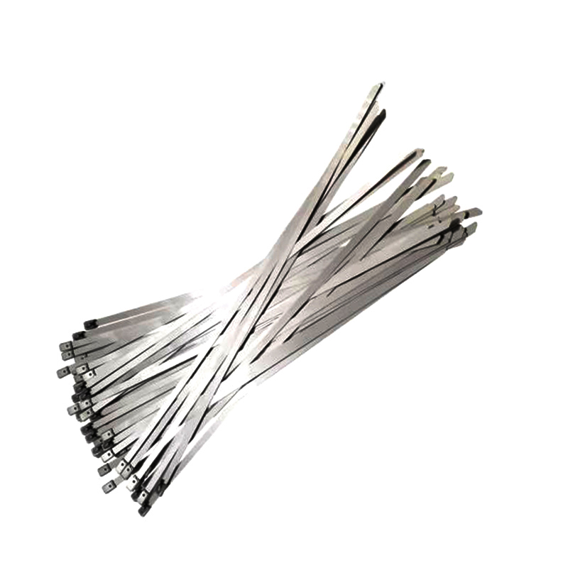 铁耀 不锈钢扎带 4.6*850mm 根高清大图