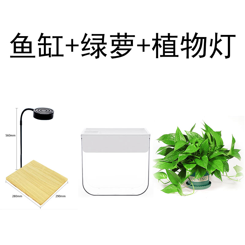 花鱼缸一体懒人免换水小型生态亚克力自循环桌面创意养金鱼缸家用 默认尺寸 鱼缸+植物灯+活体植物（绿萝）