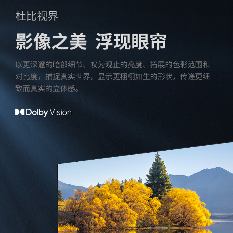 夏普(SHARP) 4T-C65GL6500A 65英寸4K 120Hz高刷 XT画质引擎 杜比视界 智能网络电视机