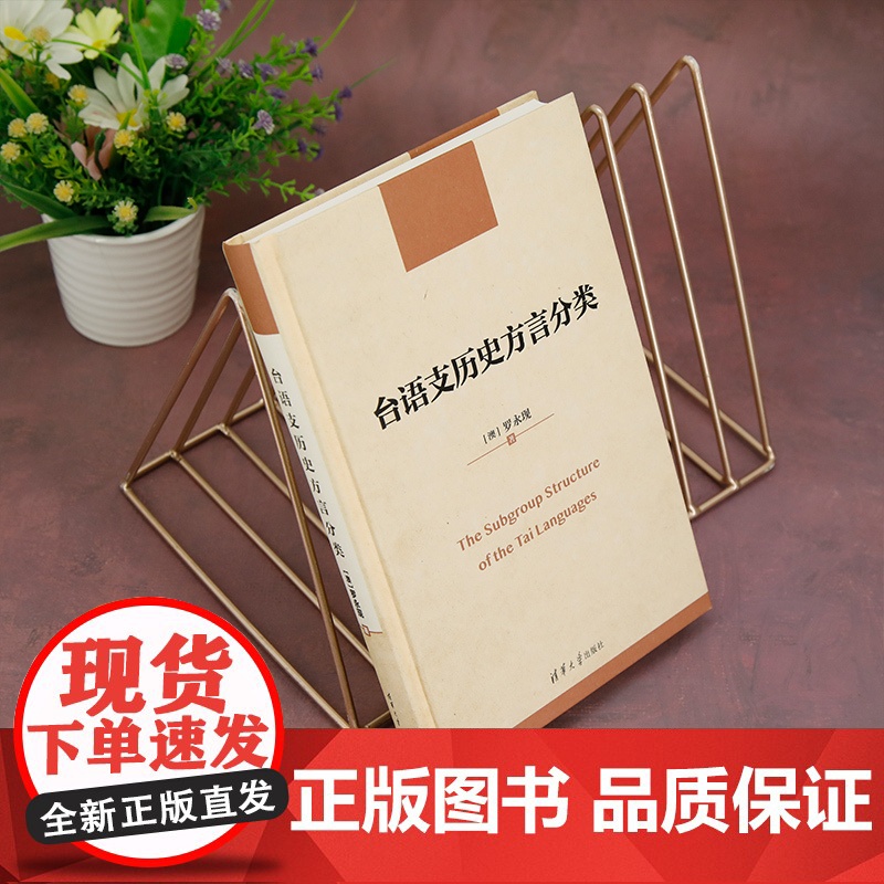 正版新书 台语支历史方言分类 罗永现(澳)清华大学出版社 台语支高清大图