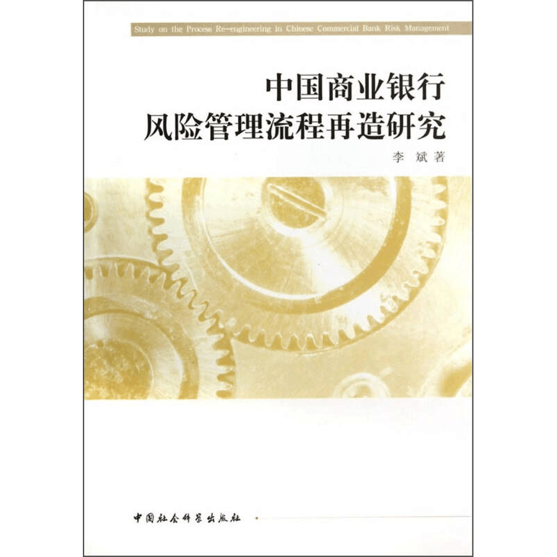 正版新书]中国商业银行风险管理流程再造研究李斌9787516141502图片