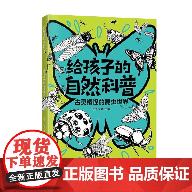 古灵精怪的昆虫世界 江泓 编著 科普百科高清大图