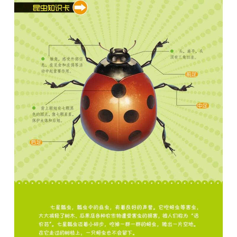 [1-2年级彩绘注音版昆虫记] [正版]法布尔昆虫记全套10本一二三四五六年级上下册课外书彩图彩绘美图注音版小学生阅读经