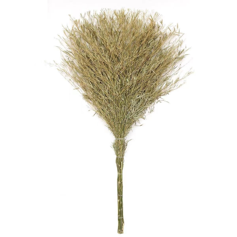 礼千初 竹扫把大扫把 天然植物马路扫帚 竹扫帚