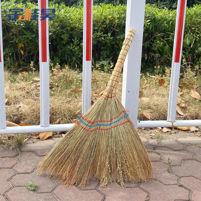 金桂昊 扫把 白净苗50cm 把高清大图