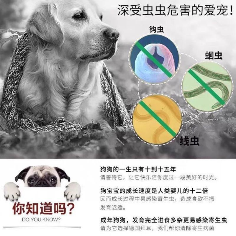 德国拜耳拜宠清狗狗体内驱虫泰迪金毛比熊大小型犬打虫片通用 体外滴剂1瓶