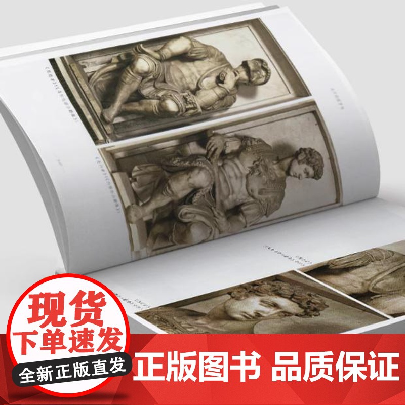 [彩图本]米开朗琪罗传 罗曼·罗兰 著 傅雷翻译书籍高清大图