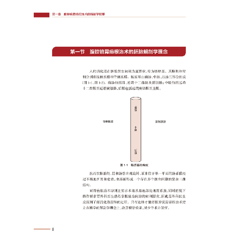 醉染图书腹腔镜胃癌手术应用解剖学(配增值)9787117313933高清大图