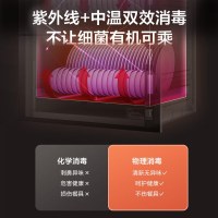 万和(Vanward) 100升二星级消毒柜 嵌入式高温消毒柜 家用碗筷餐具厨房消毒碗柜 ZTD100Q-D5